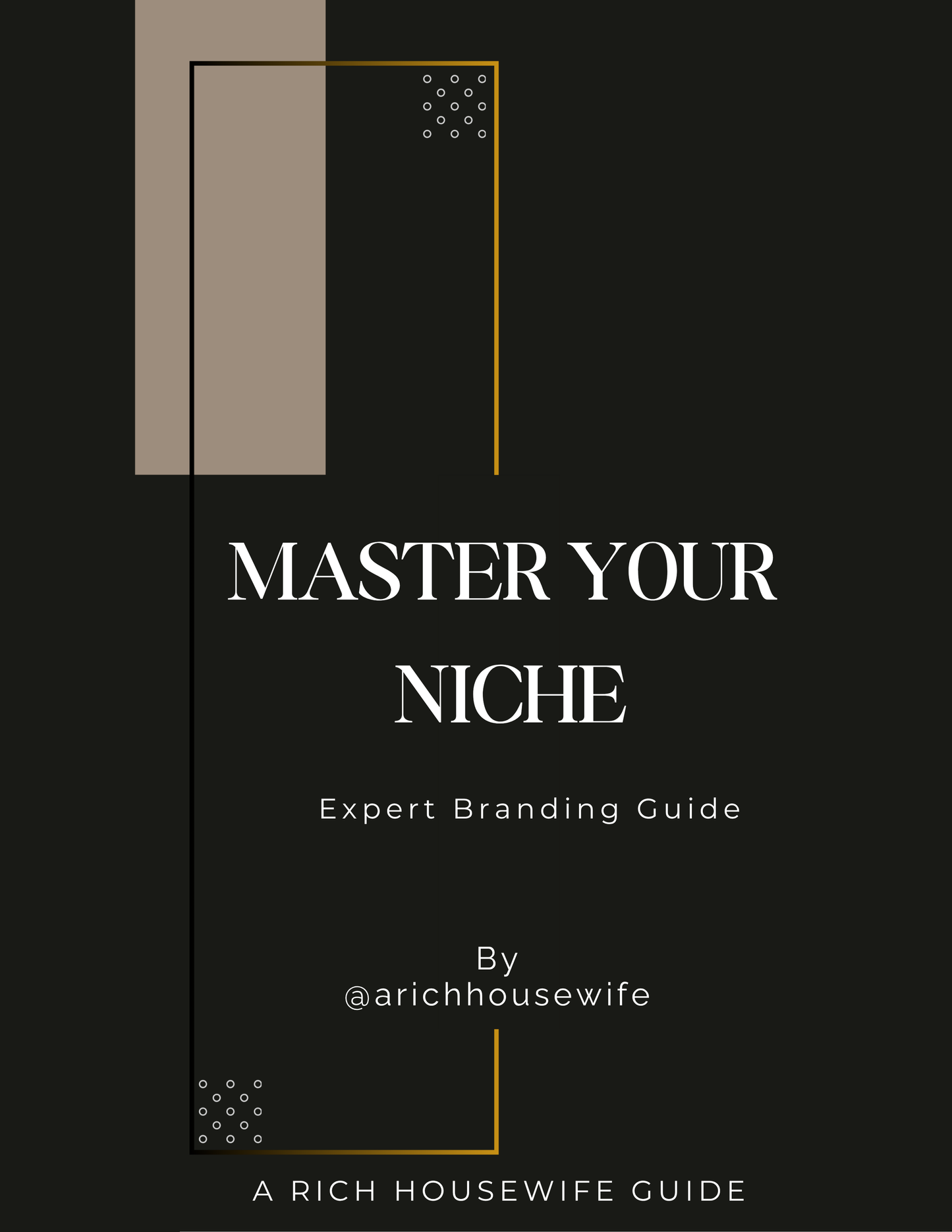 Master your Niche Expert Branding book